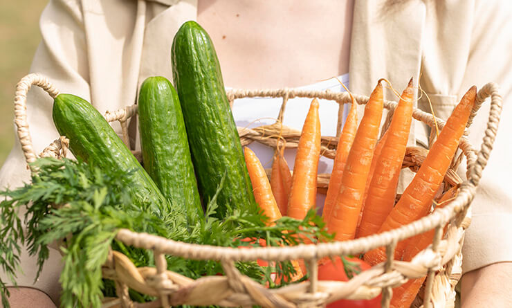 orgaxi.prontofer.ind.br