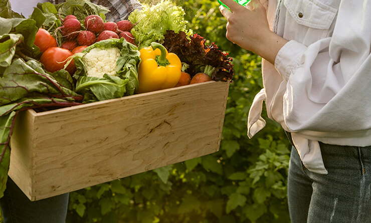 orgaxi.prontofer.ind.br