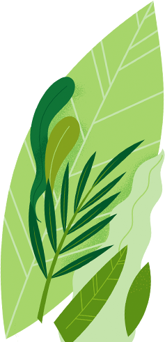 orgaxi.prontofer.ind.br