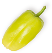 orgaxi.prontofer.ind.br