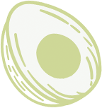 orgaxi.prontofer.ind.br