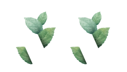 orgaxi.prontofer.ind.br