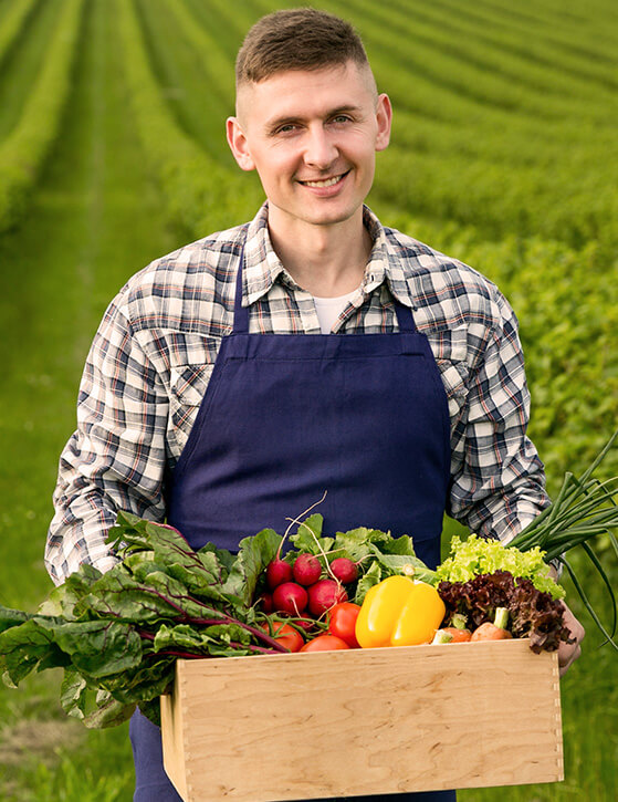 orgaxi.prontofer.ind.br