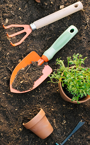 orgaxi.prontofer.ind.br