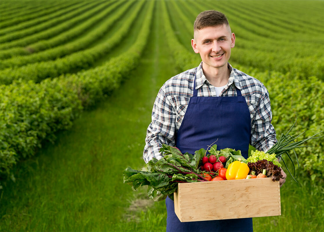 orgaxi.prontofer.ind.br