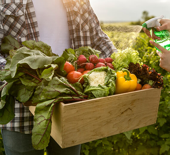 orgaxi.prontofer.ind.br