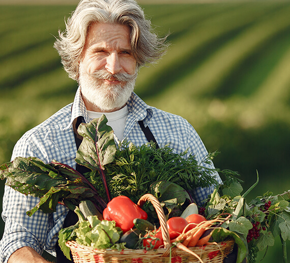 orgaxi.prontofer.ind.br