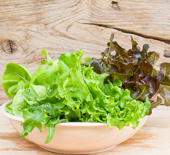 orgaxi.prontofer.ind.br