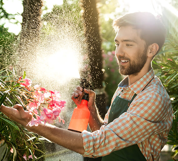 orgaxi.prontofer.ind.br