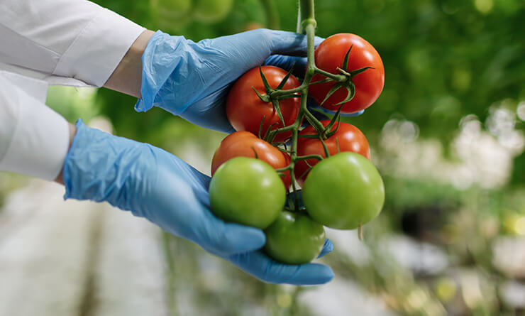 orgaxi.prontofer.ind.br