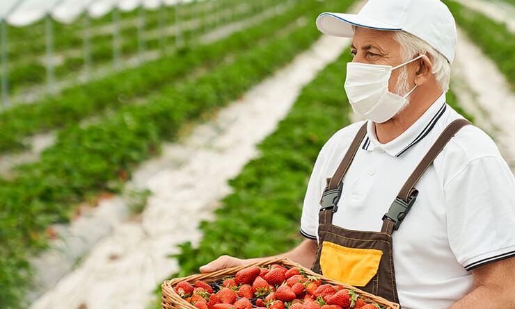 orgaxi.prontofer.ind.br