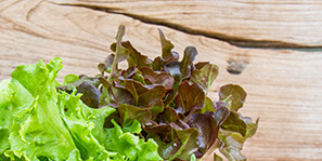 orgaxi.prontofer.ind.br