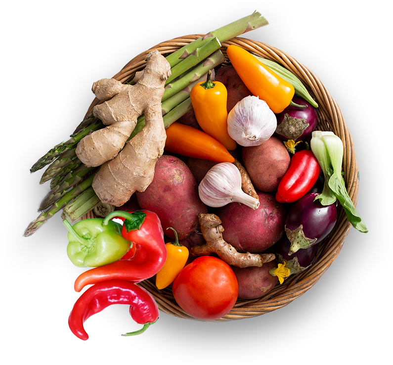 orgaxi.prontofer.ind.br